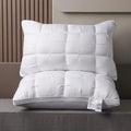 [Pack of 2] Luxury 5-Star Hotel Pillow Set (19×29") – Soft Neck Support | Free Delivery